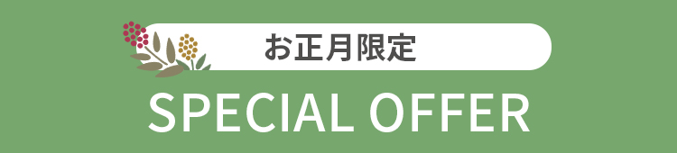 企画6 有名北欧ブランドのスペシャルオファー