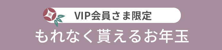 企画5 VIP会員へのお年玉