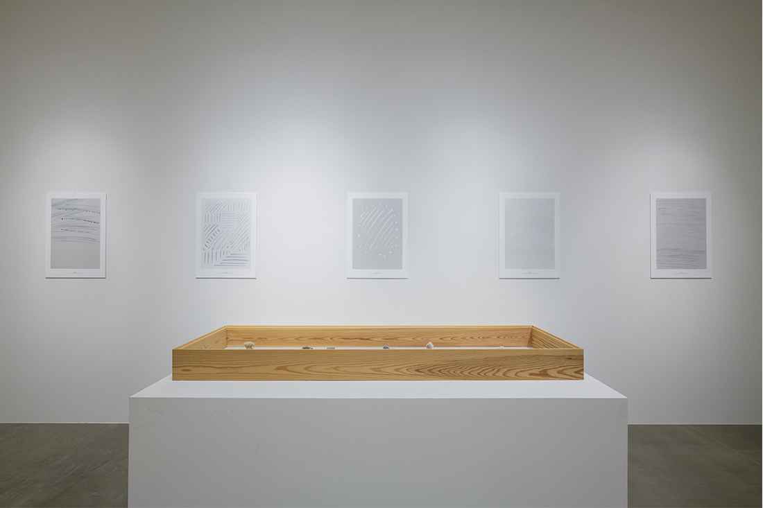 展示会の様子
