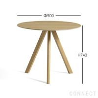 年越しキャンペーンA】【BOOK＆TOTEBAGレビュー特典付】HAY（ヘイ