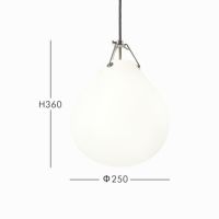 louis poulsen(ルイスポールセン)/　Moser（モザー） 250