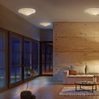 LE KLINT（レ・クリント）/ MODEL 26 / φ650mm / シーリングライト