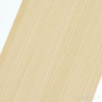 LEMNOS(レムノス) / cuckoo-collection tilt(ティルト) / カッコー時計・鳩時計