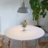 【正規販売店】 The workshop lamp ( ワークショップランプ )  Lサイズ