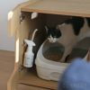 KARIMOKU CAT RESTROOM（カリモク キャット レストルーム）