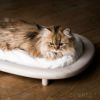 KARIMOKU CAT BED（カリモク キャット ベッド）