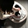 KARIMOKU CAT BED（カリモクキャット ベッド） / 全3色