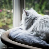 KARIMOKU CAT BED（カリモクキャット ベッド） / 全3色