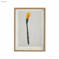 山口一郎 / Mサイズ / 花 / iy-pic-m-47