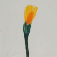 山口一郎 / Mサイズ / 花 / iy-pic-m-47