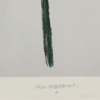 山口一郎 / Mサイズ / 花 / iy-pic-m-47