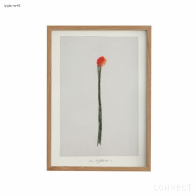 販売終了］山口一郎 / Mサイズ / 花 / iy-pic-m-138 | CONNECT
