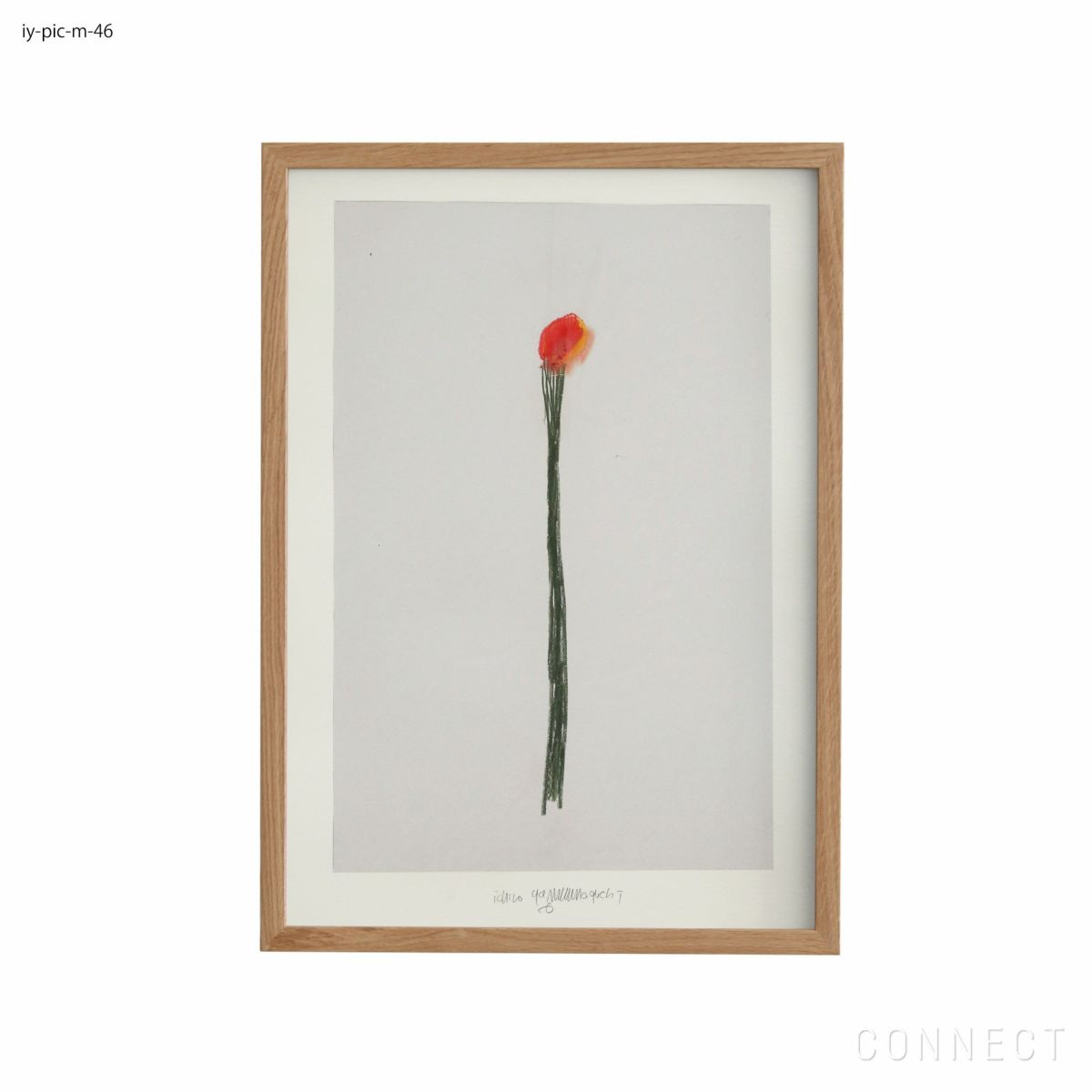 山口一郎 / Mサイズ / 花 / iy-pic-m-46