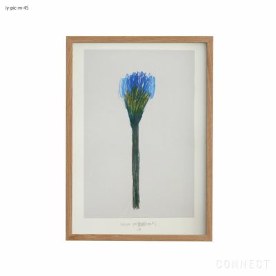 販売終了］山口一郎 / Lサイズ / 花 / iy-pic-l-94 | CONNECT
