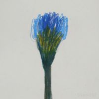 山口一郎 / Mサイズ / 花 / iy-pic-m-45