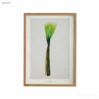 山口一郎 / Mサイズ / 花 / iy-pic-m-43