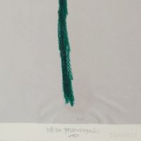 山口一郎 / Sサイズ / 花 / iy-pic-s-37