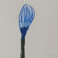 山口一郎 / Sサイズ / 花 / iy-pic-s-35