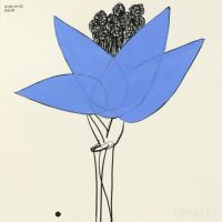 山口一郎 / Mサイズ / 花 / iy-pic-m-62