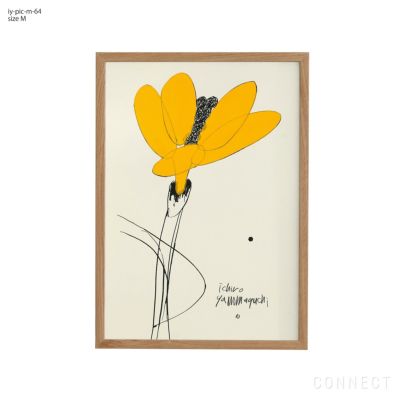 販売終了］山口一郎 / Lサイズ / 花 / iy-pic-l-64 | CONNECT