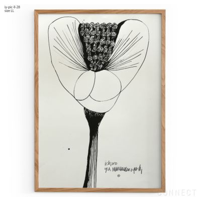 販売終了］山口一郎 / Sサイズ / 花 / iy-pic-s-51 | CONNECT