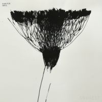 山口一郎 / LLサイズ / 花 / iy-pic-ll-29