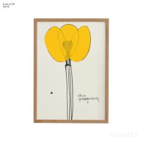 山口一郎 / Mサイズ / 花 / iy-pic-m-69