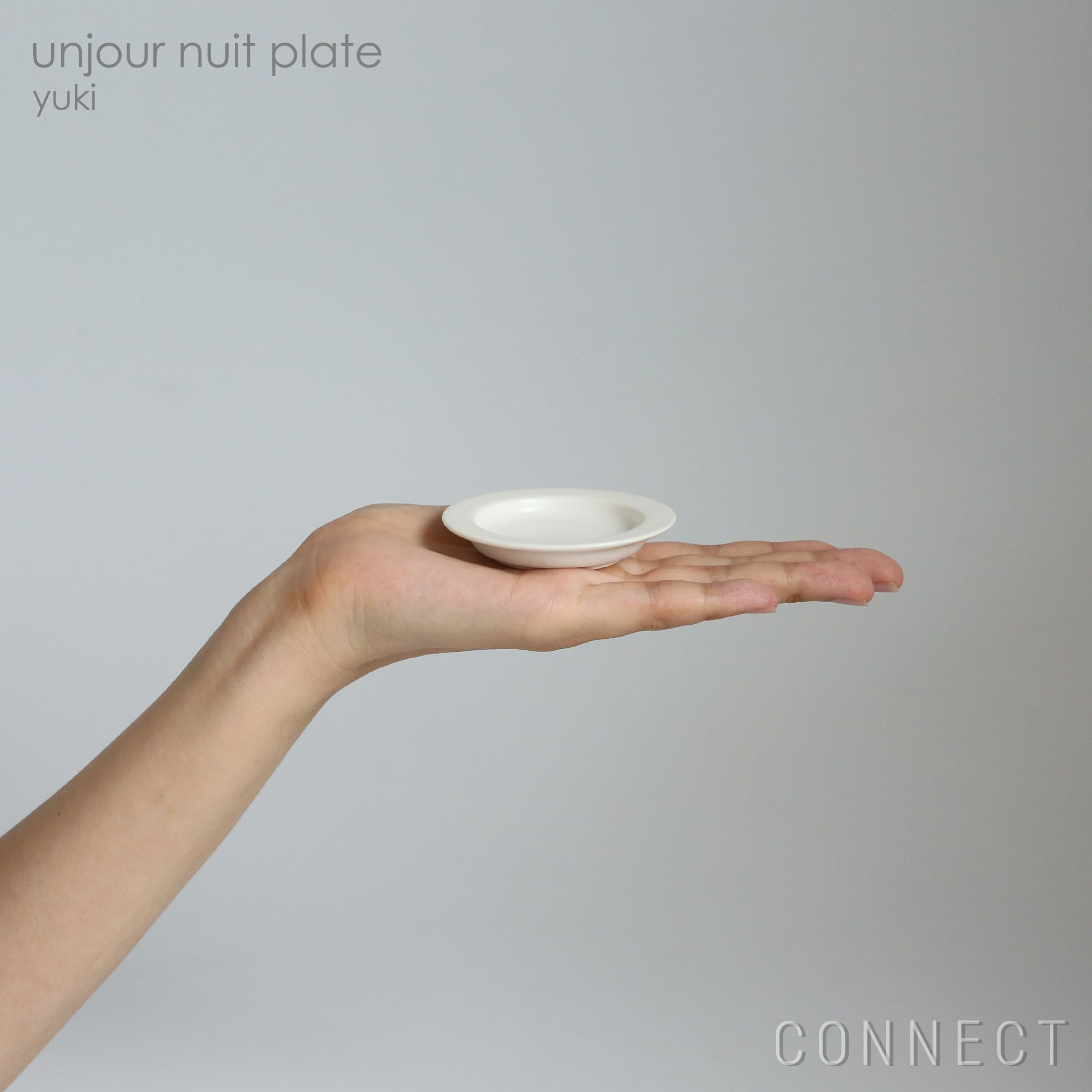 yumiko iihoshi porcelain （イイホシユミコ） / unjour（アンジュール）nuit プレート / ユキ