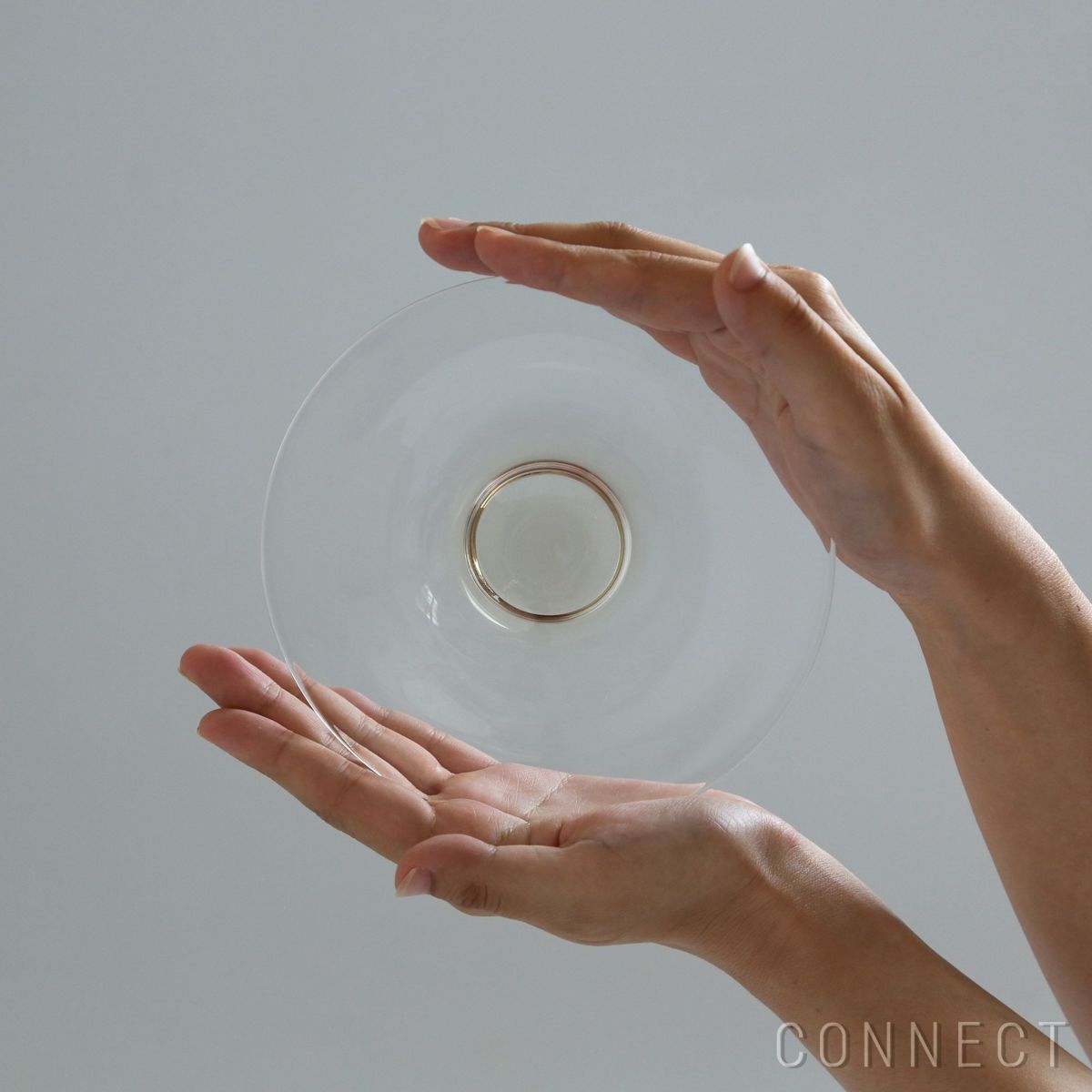 WASHIZUKA GLASS STUDIO（ワシズカグラススタジオ） / dish / L / ガラス