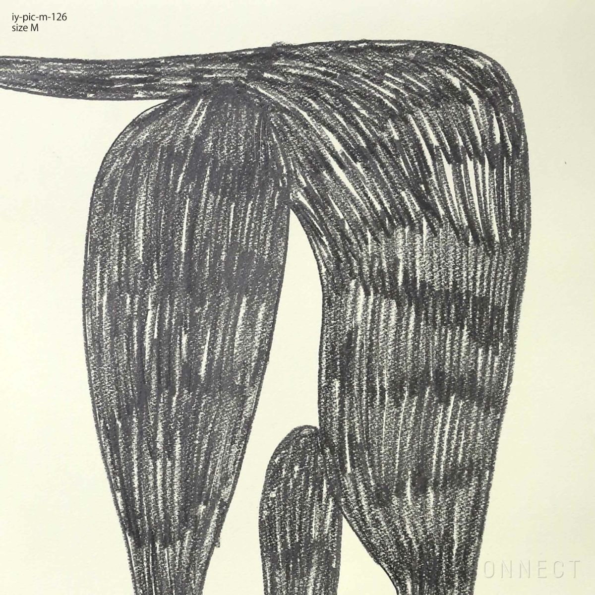 山口一郎 / Mサイズ / 猫 / iy-pic-m-126