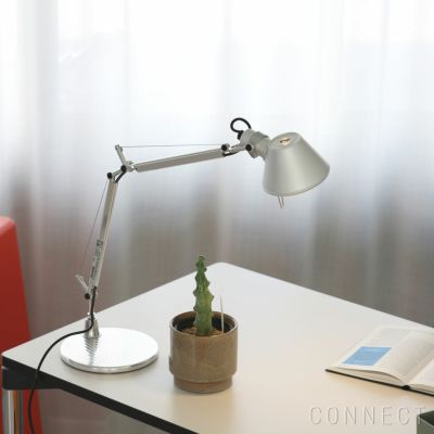 Artemide(アルテミデ) Tolomeo LED micro pinza | www.silverspeargin.com