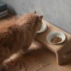 KARIMOKU CAT TABLE（カリモクキャット テーブル） / 食器台 / フードボウル / ウォーターボウル