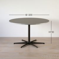 FRITZ HANSEN（フリッツ・ハンセン） / TABLE SERIES（テーブルシリーズ）A825 / 円テーブル / グレー / ブラウンブロンズ脚 / Ø120cm