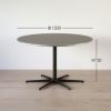 FRITZ HANSEN（フリッツ・ハンセン） / TABLE SERIES（テーブルシリーズ）A825 / 円テーブル / グレー / ブラウンブロンズ脚 / &#216;120cm