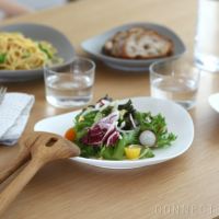 yumiko iihoshi porcelain （イイホシユミコ） / SHIONARI（シオナリ