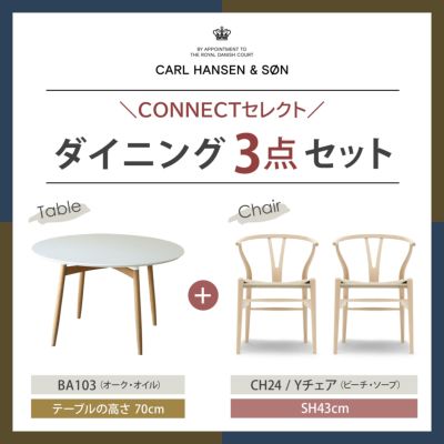 【ポイント10倍】CONNECTセレクトダイニングセットCARL