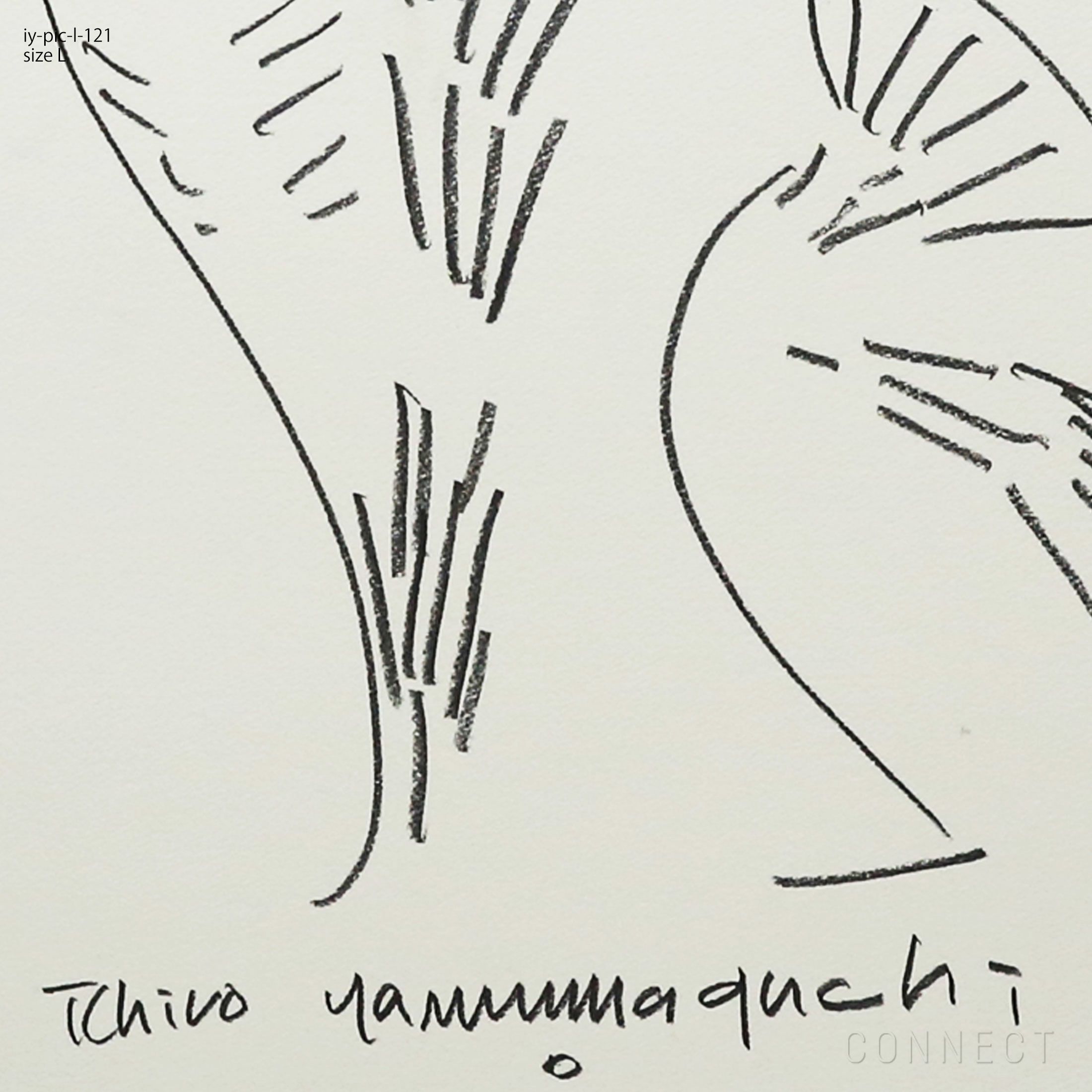 山口一郎 / Lサイズ / 猫 / iy-pic-l-121