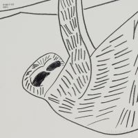 山口一郎 / Lサイズ / ナマケモノ / iy-pic-l-131