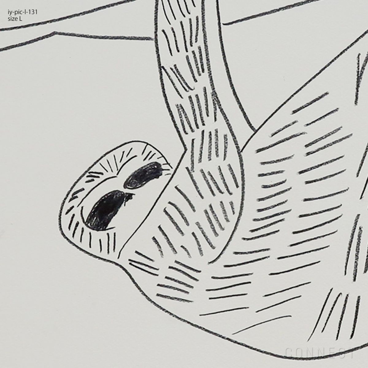 山口一郎 / Lサイズ / ナマケモノ / iy-pic-l-131