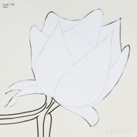 山口一郎 / Lサイズ / 白木蓮 / iy-pic-l-138