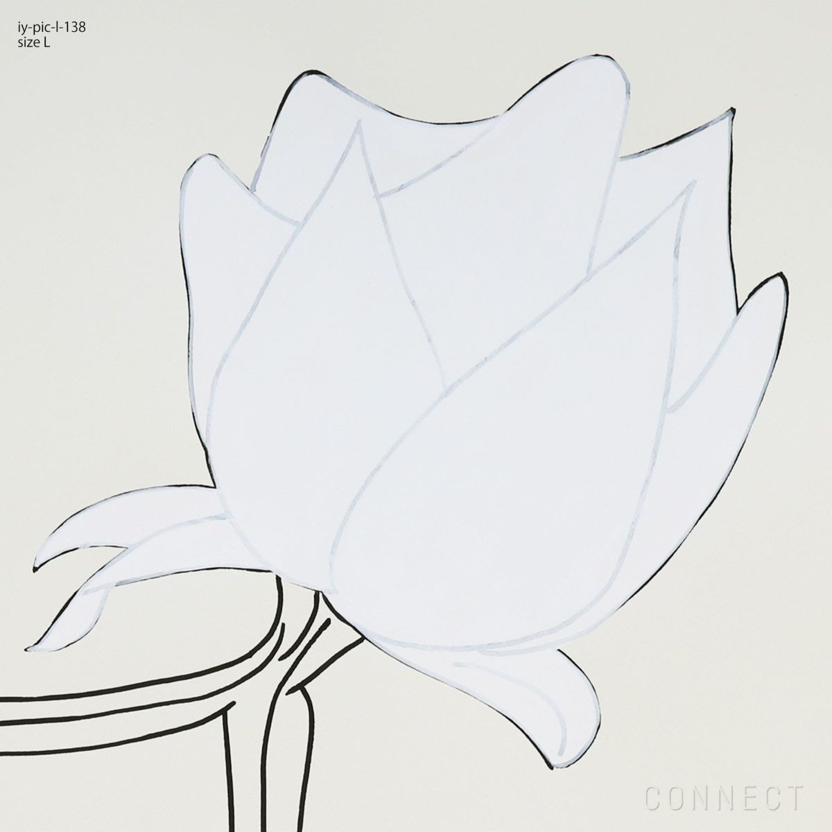 山口一郎 / Lサイズ / 白木蓮 / iy-pic-l-138