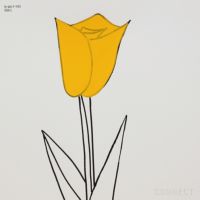 山口一郎 / Lサイズ / チューリップ / iy-pic-l-143