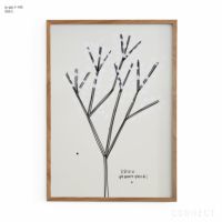 山口一郎 / Lサイズ / かすみ草 / iy-pic-l-145