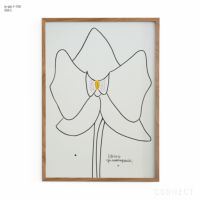 山口一郎 / Lサイズ / 蘭 / iy-pic-l-150