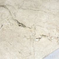 FRITZ HANSEN（フリッツ・ハンセン） / PK61（コーヒーテーブル） / 大理石（ベージュ140）