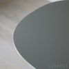 FRITZ HANSEN（フリッツ・ハンセン） / TABLE SERIES（テーブルシリーズ）A603 / スーパー円テーブル / グレー / クローム脚 / Φ100cm