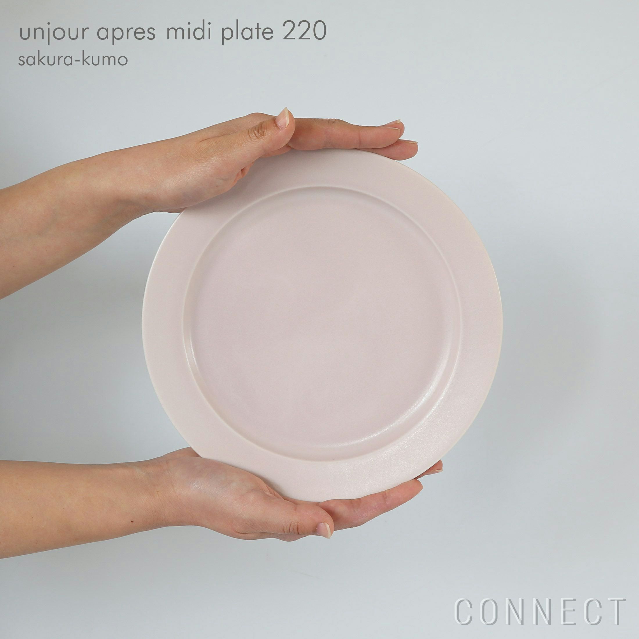 yumiko iihoshi porcelain （イイホシユミコ） / unjour （アンジュール） / apres-midi プレート 220 / サクラ-クモ