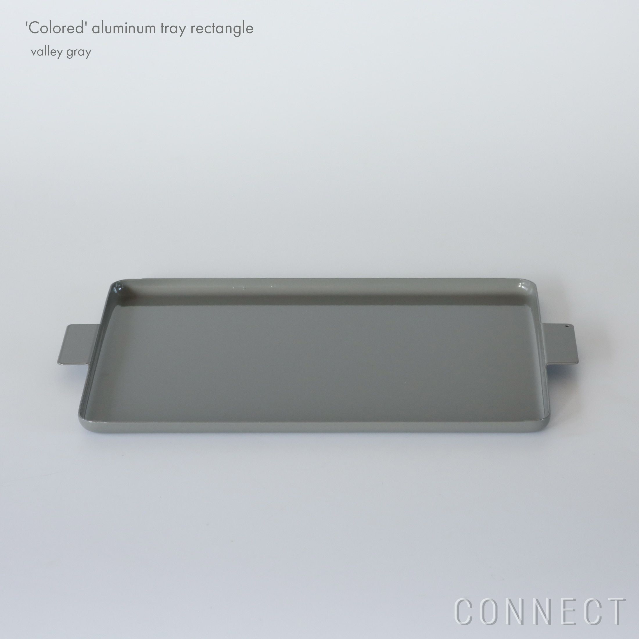 yumiko iihoshi porcelain （イイホシユミコ） / 'Colored' aluminum tray（カラード アルミニウム トレ－） / レクタングル