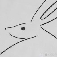 数量限定】山口一郎描きおろし / 卯（うさぎ）ハンカチ