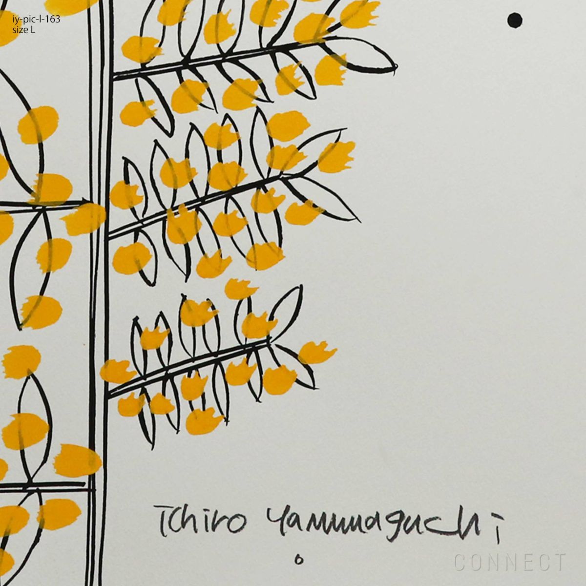 山口一郎 / Lサイズ / ミモザ / iy-pic-l-163